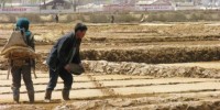 Human Feces Sold In North Korea Poo Shops