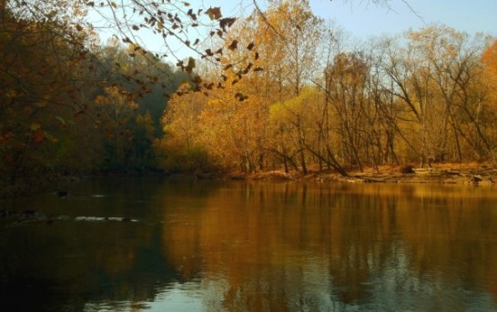 Fall Colors in Maryland’s Patapsco River Valley